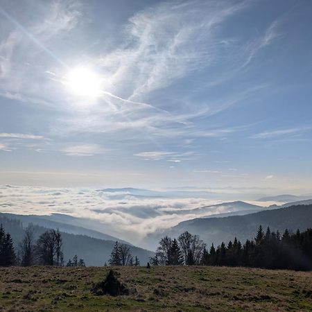 Glatzl Trahuetten Alm Sankt Lorenzen am Wechsel Exteriör bild